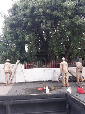 Gardening Service
